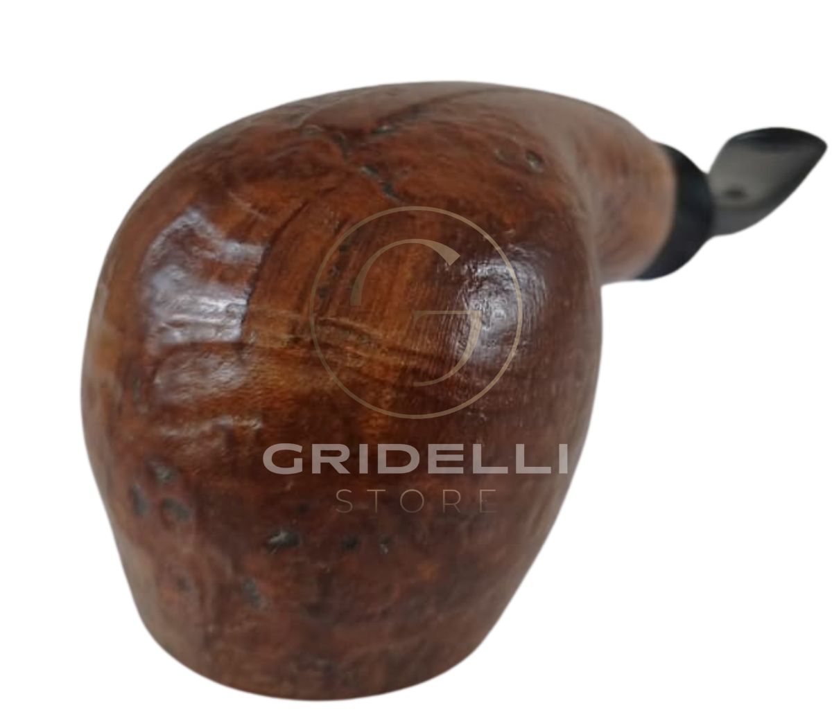 Bonfiglioli - immagine 2